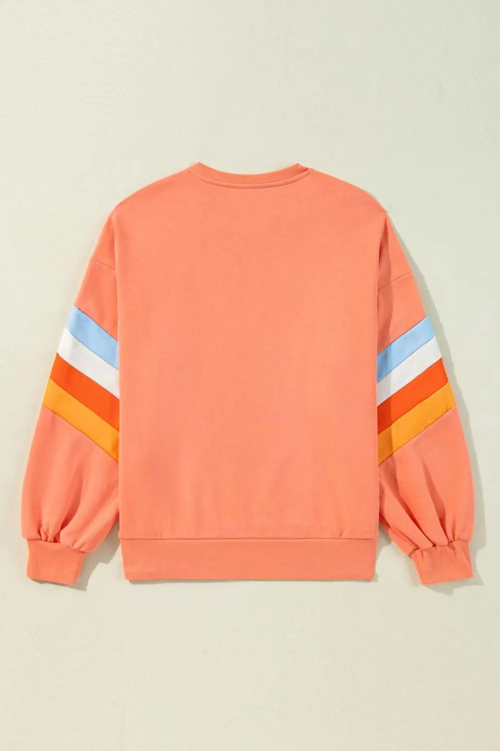 Best Dear-Lover Rainbow Striped Sleeve Crew Neck Loose Sweatshirt Flamingo