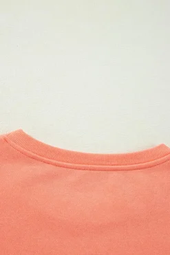 Best Dear-Lover Rainbow Striped Sleeve Crew Neck Loose Sweatshirt Flamingo