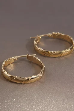Hot Dear-Lover Plated 3D Twisted Loop Earrings Gold