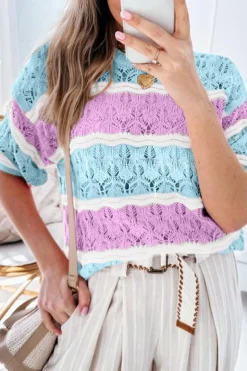 Discount Dear-Lover Color Block Hollow Out Crochet Half Sleeve Sweater Purple Stripe