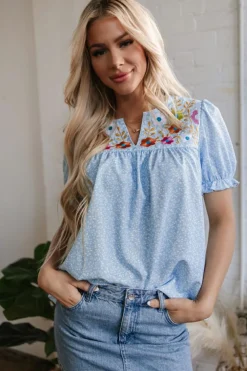 Discount Dear-Lover Floral Embroidered Puff Sleeve Notched V Neck Blouse Sky Blue