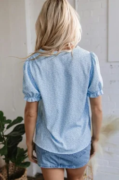 Discount Dear-Lover Floral Embroidered Puff Sleeve Notched V Neck Blouse Sky Blue